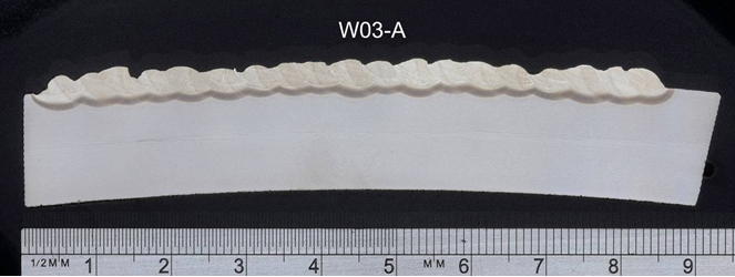 Figure 4. Macrosections taken through the samples relating to test weld W03. Scale ruler shown: (a) W03-A: first layer appearance, showing fairly even HAZ (SMAW electrode ø2.5mm);
