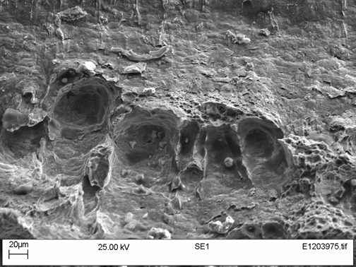 Figure 12. Sample W01-50 under the SEM showing large voids at inclusions at the site of initiation on the left of Figure 10