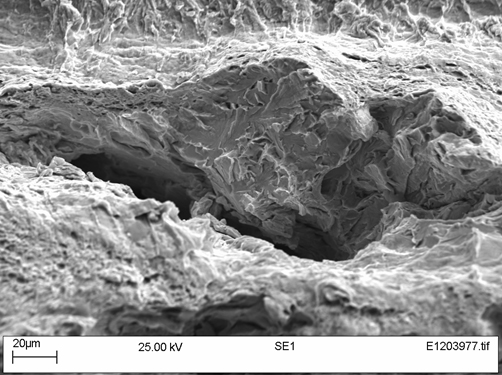 Figure 13. Sample W01-50 under the SEM showing a fracture adjacent to a split, at the right of Figure 10
