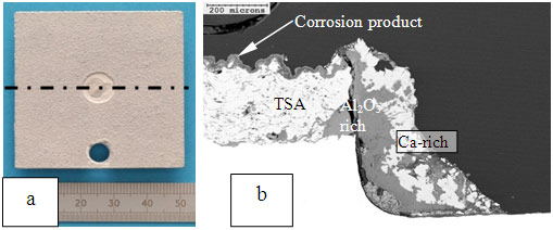 Figure 2: TSA-coated pitting corrosion specimen showing (a) exposed weld area, and (b) cross section along the holiday.
