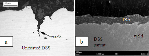 Figure 3: Transverse cross sections of (a) uncoated DSS and (b) TSA coated DSS after chloride SCC tests.