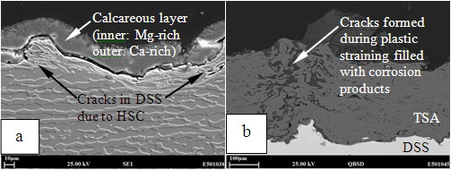 Figure 5: SEM images of cross sections of (a) uncoated and (b) TSA coated DSS after HISC testing at 575 MPa.
