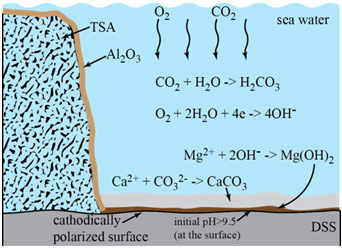 Figure 8: Mechanism of calcareous deposit formation on a cathodically polarized steel surface in seawater.
